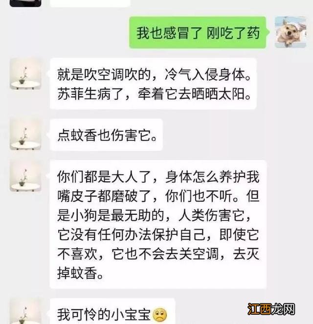 仿佛他们才是一家三口...“父母不让我养宠物”的大型真香现场