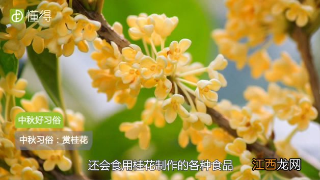 图文 中秋节的习俗有什么