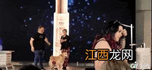 专业宠物美容盛宴,伊珊娜意大利课程进行中