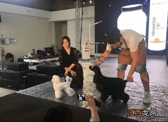 专业宠物美容盛宴,伊珊娜意大利课程进行中