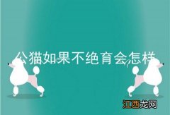 公猫如果不绝育会怎样