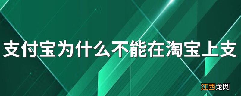 支付宝为什么不能在淘宝上支付 不能在淘宝上用支付宝支付的原因