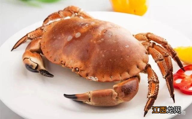 水蟹是什么蟹类？捉水蟹是什么意思，讲解详细易懂，点这里