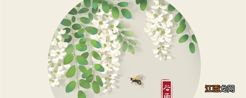 槐花什么时候开
