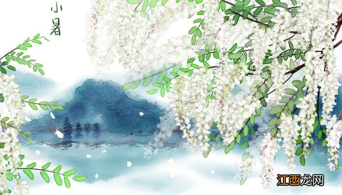 槐花什么时候开
