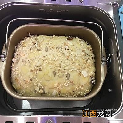 面包机什么时候撒果料？面包机何时加果料，这里大有看头