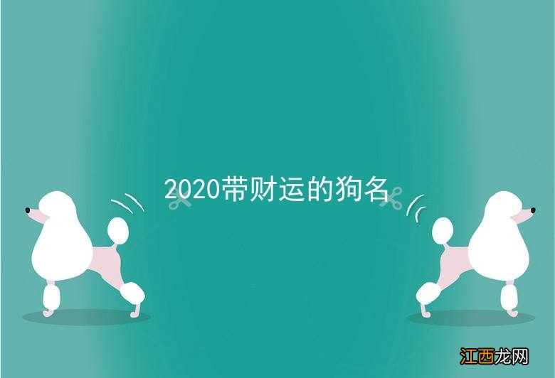 2020带财运的狗名