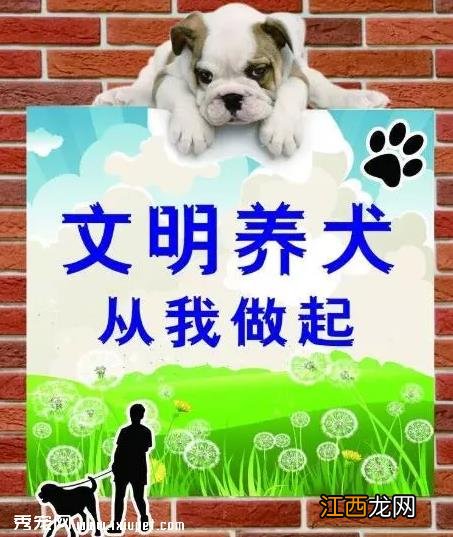 出台养狗规定，助力文明养犬