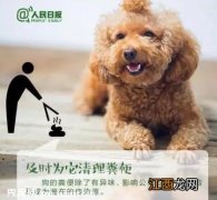 出台养狗规定，助力文明养犬