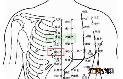 夏属火，火气通心：夏季养心，中医建议采用4个方法