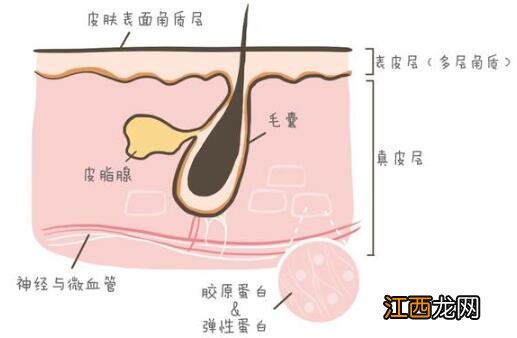 毛孔粗大怎么办？如何改善