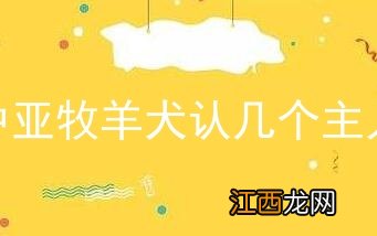 中亚牧羊犬认几个主人