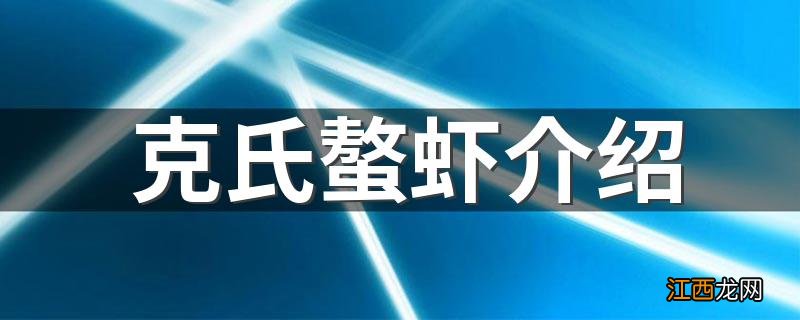 克氏螯虾介绍 克氏螯虾的简介