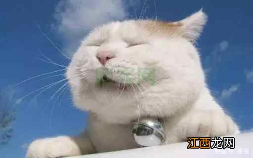 健康养生小知识5则！简单方便！无形养生