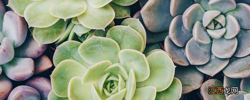 法师夏天必须断水吗