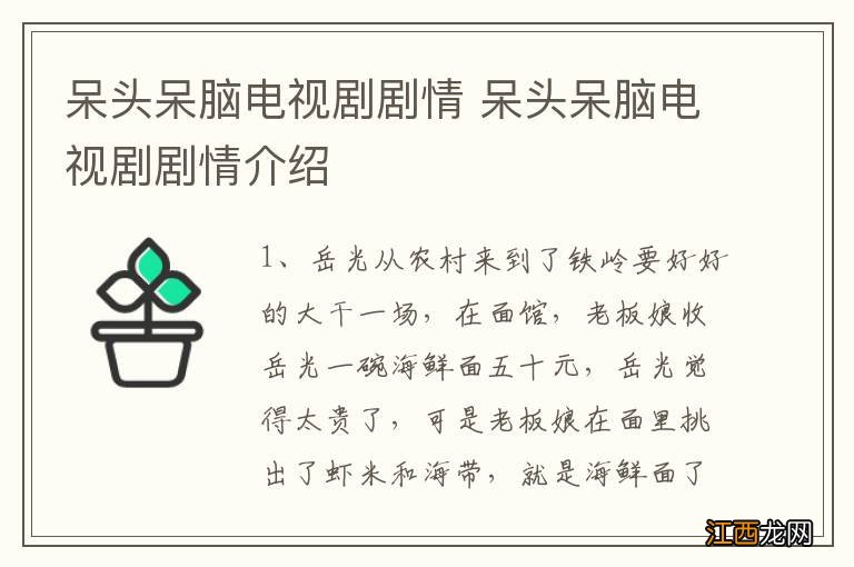 呆头呆脑电视剧剧情 呆头呆脑电视剧剧情介绍