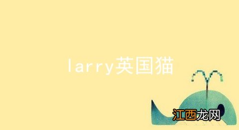 larry英国猫