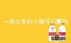 一窝出来的小猫可以配吗