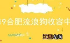 2019合肥流浪狗收容中心