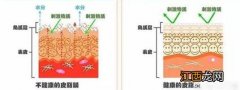 什么面霜补水保湿效果最好