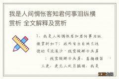 我是人间惆怅客知君何事泪纵横赏析 全文解释及赏析