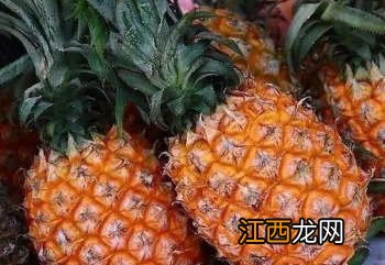 如何区分菠萝和凤梨？它们是同一种水果吗？