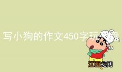 写小狗的作文450字玩飞盘