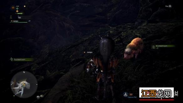 怪物猎人世界全物品讲解 怪物猎人世界全物品id最新