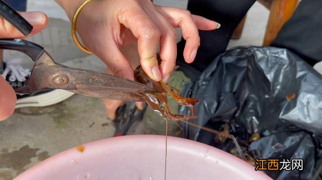 龙虾是什么颜色的食物？活龙虾是啥颜色，寻找你想要的答案