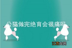 公猫做完绝育会很痛吗