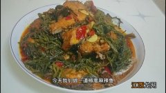 椒蒿能炒什么菜？椒蒿如何加工，看完这文章再做决定