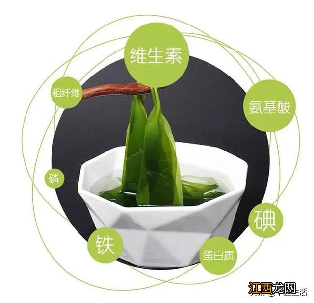 海带芽又叫什么菜?海带芽的别名,点击这里了解
