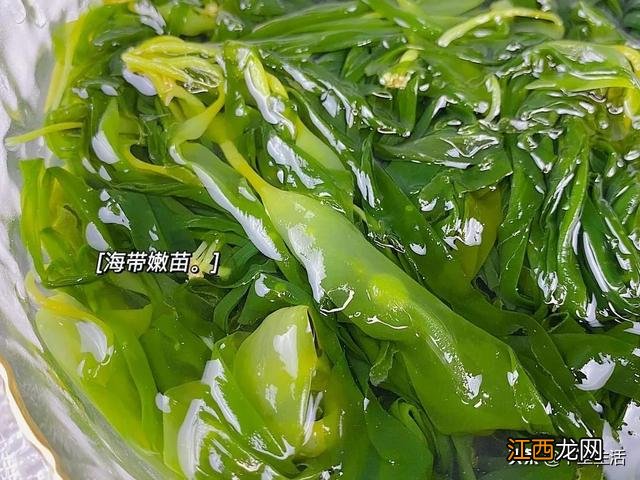 海带芽又叫什么菜?海带芽的别名,点击这里了解