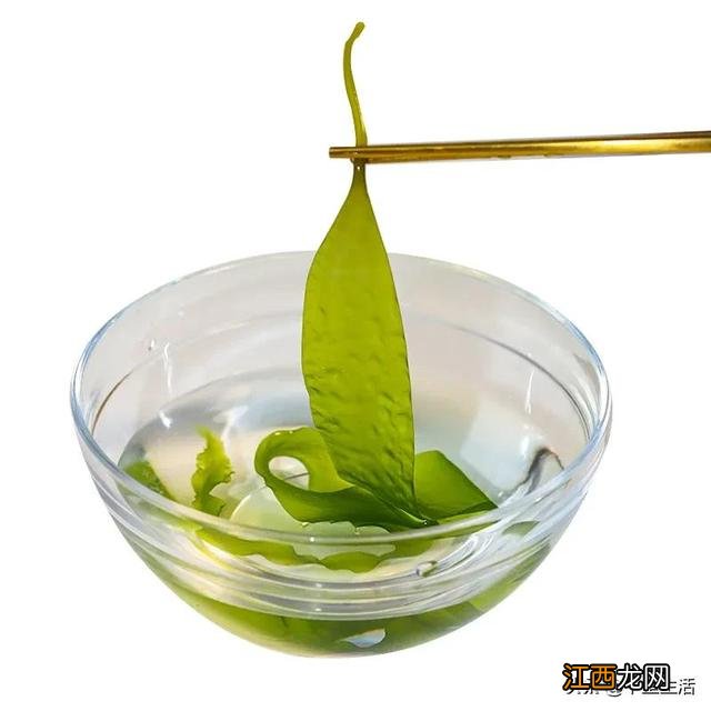 海带芽又叫什么菜?海带芽的别名,点击这里了解