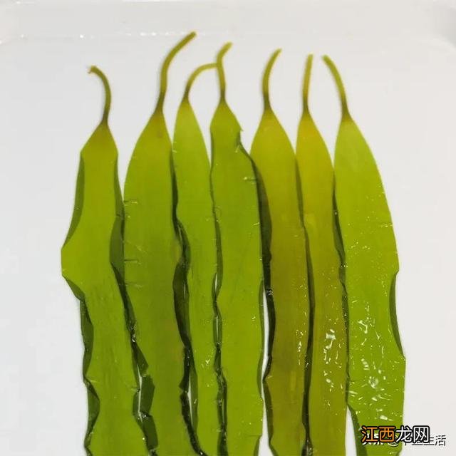 海带芽又叫什么菜?海带芽的别名,点击这里了解