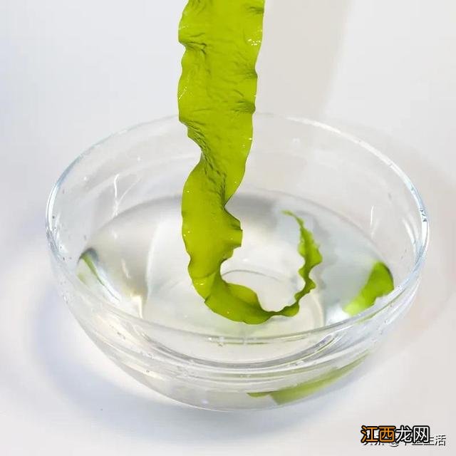 海带芽又叫什么菜?海带芽的别名,点击这里了解