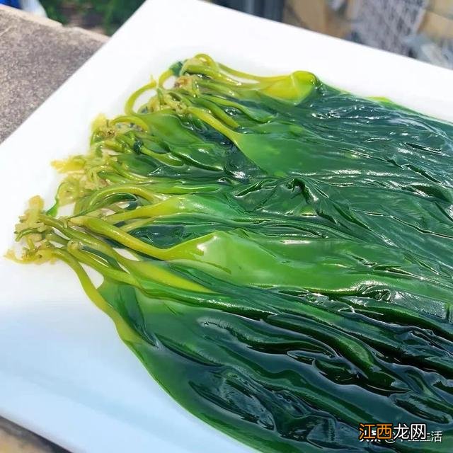 海带芽又叫什么菜?海带芽的别名,点击这里了解