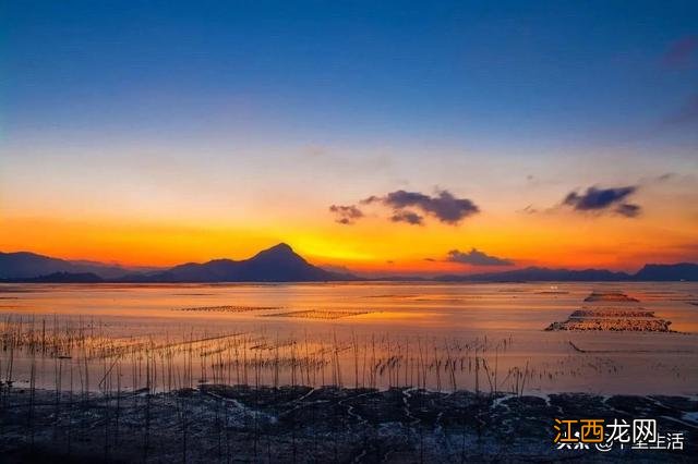 海带芽又叫什么菜?海带芽的别名,点击这里了解
