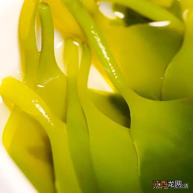 海带芽又叫什么菜?海带芽的别名,点击这里了解