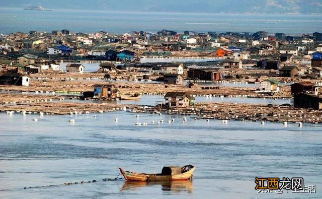 海带芽又叫什么菜?海带芽的别名,点击这里了解