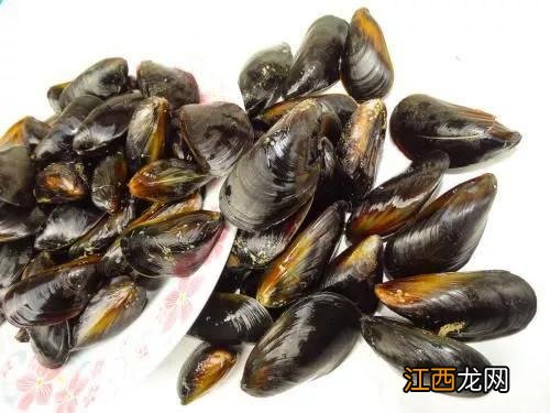 海虹有什么营养？海虹能大量吃吗，基础知识篇