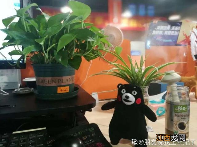 为什么生猪肉容易惹蚂蚁？口水吸引蚂蚁怎么回事，看完，受益匪浅！