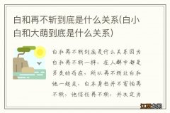 白小白和大萌到底是什么关系 白和再不斩到底是什么关系