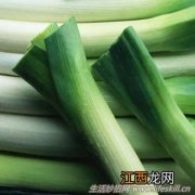 细数大葱的39种绝妙用法