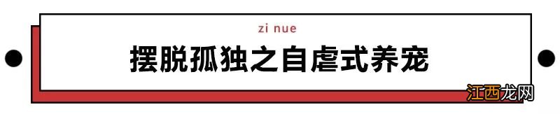 万万没想到，偷能量养宠物竟能治好百万网友的懒癌？！