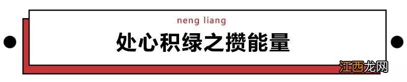 万万没想到，偷能量养宠物竟能治好百万网友的懒癌？！