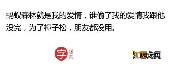 万万没想到，偷能量养宠物竟能治好百万网友的懒癌？！