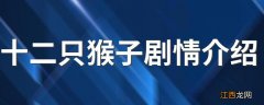 十二只猴子剧情介绍 该片的主演是谁