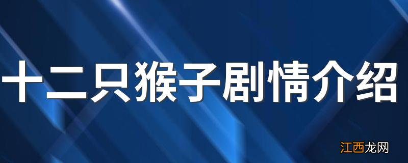 十二只猴子剧情介绍 该片的主演是谁