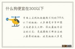 什么狗便宜在300以下